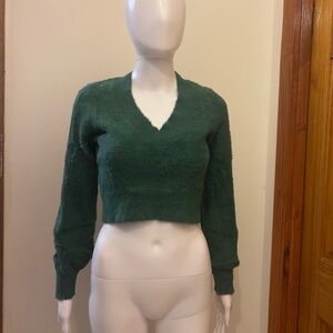 Sunday Best Aritzia Fuzzy V Neck cropped sweater Green